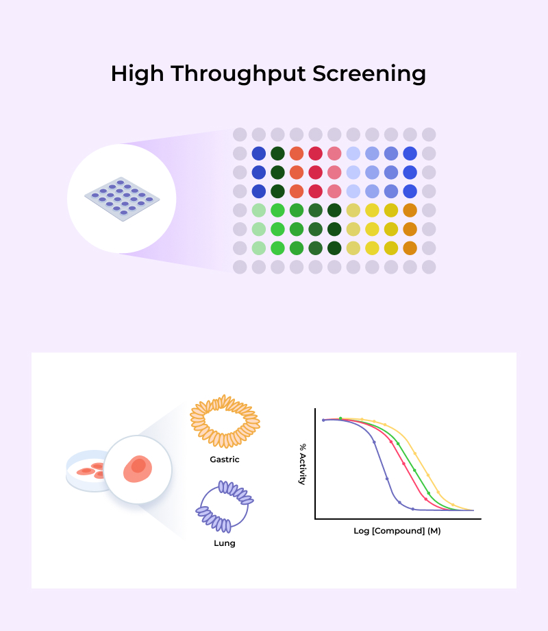 Evaluation of drug efficacy of tumor organoid-based immunotherapy