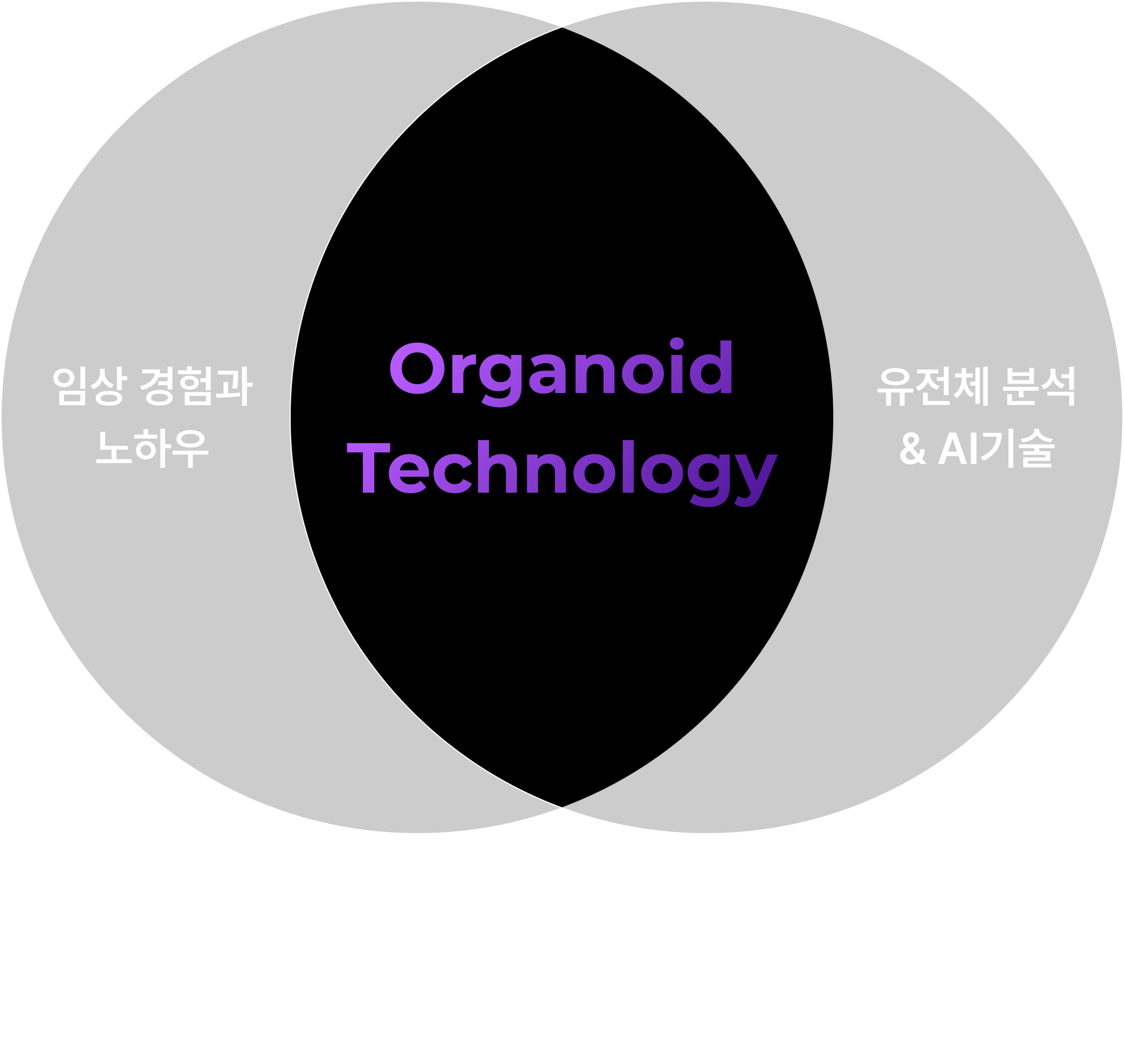 Organoids Technology