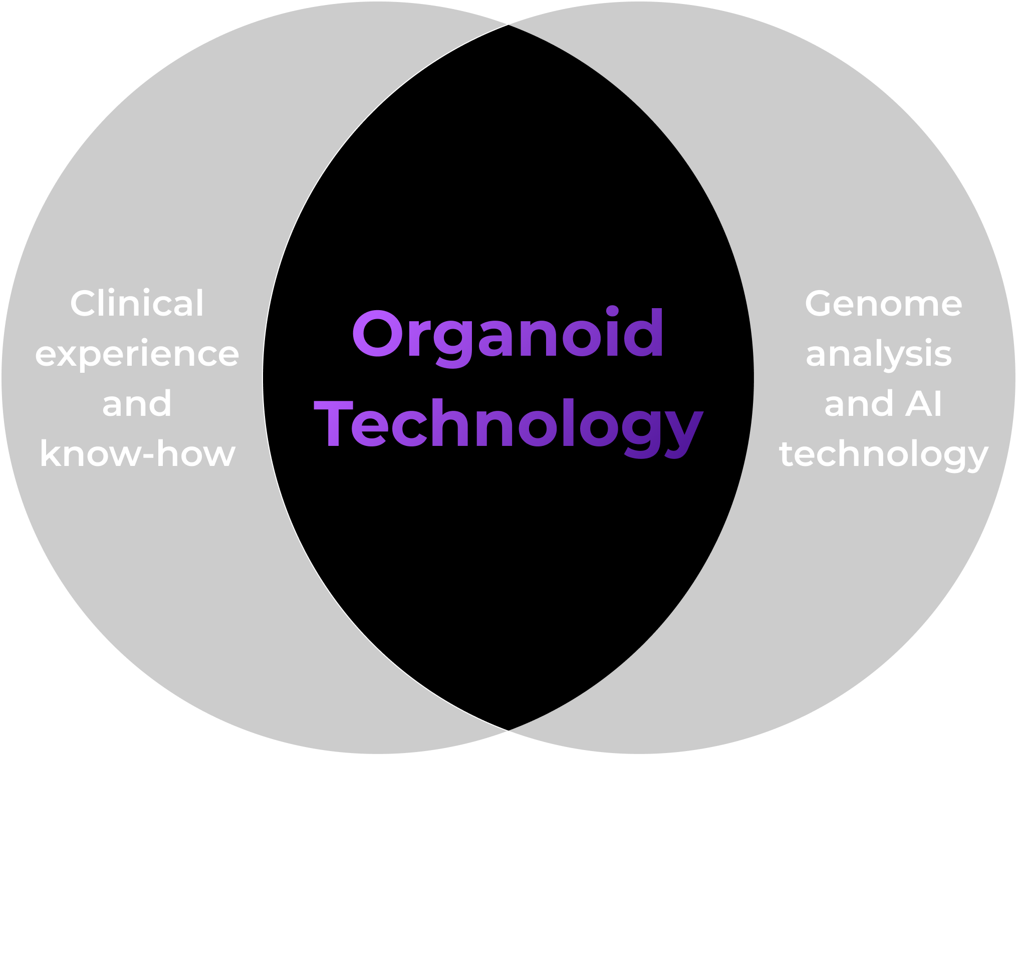 Organoids Technology