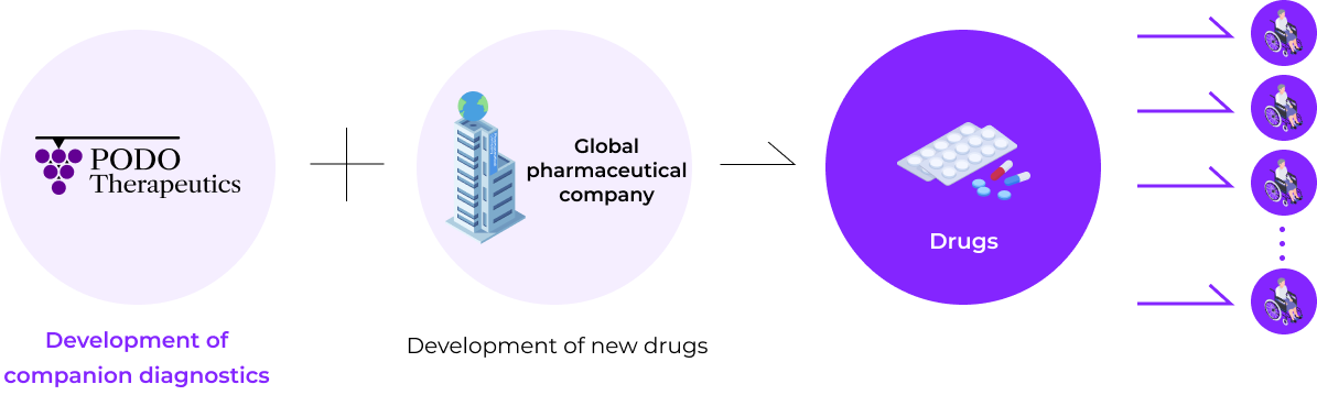 Anticancer drug development (companion diagnostics) platform