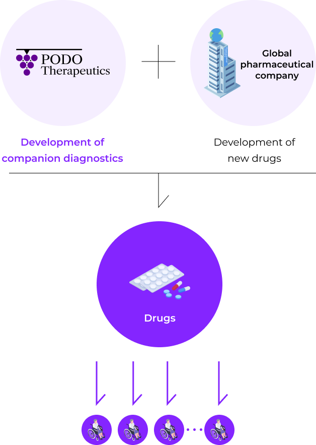 Anticancer drug development (companion diagnostics) platform