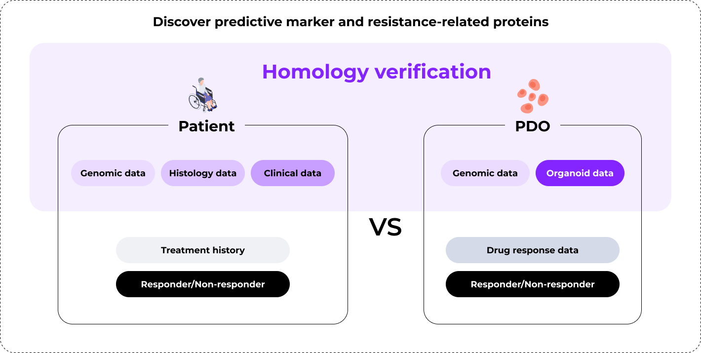 Companion Diagnostics