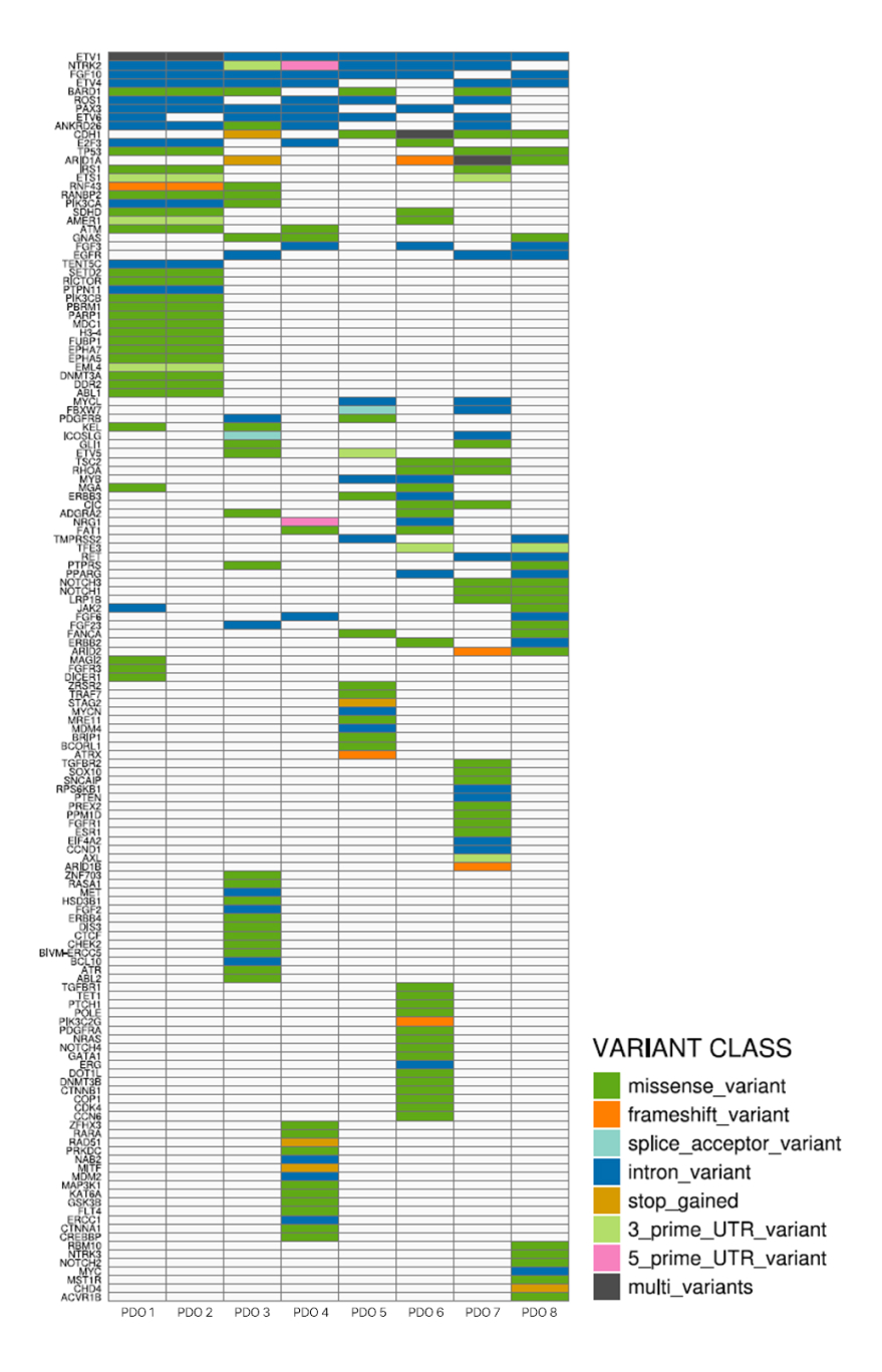 Genome analysis